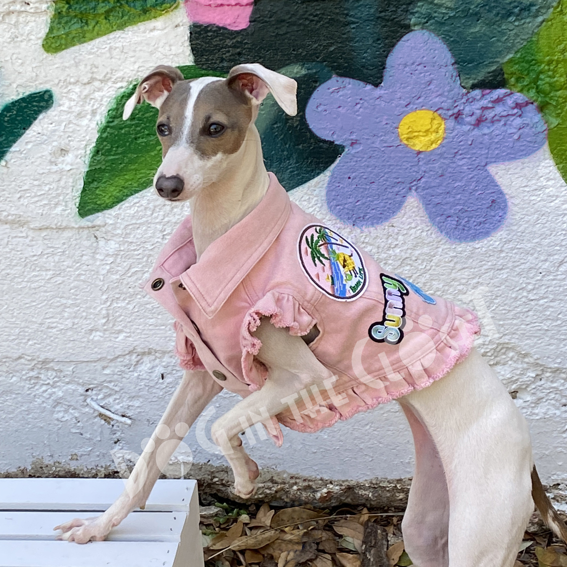 Princess Rhinestone Dog Pet Shirt T-Shirt Tank Top 
