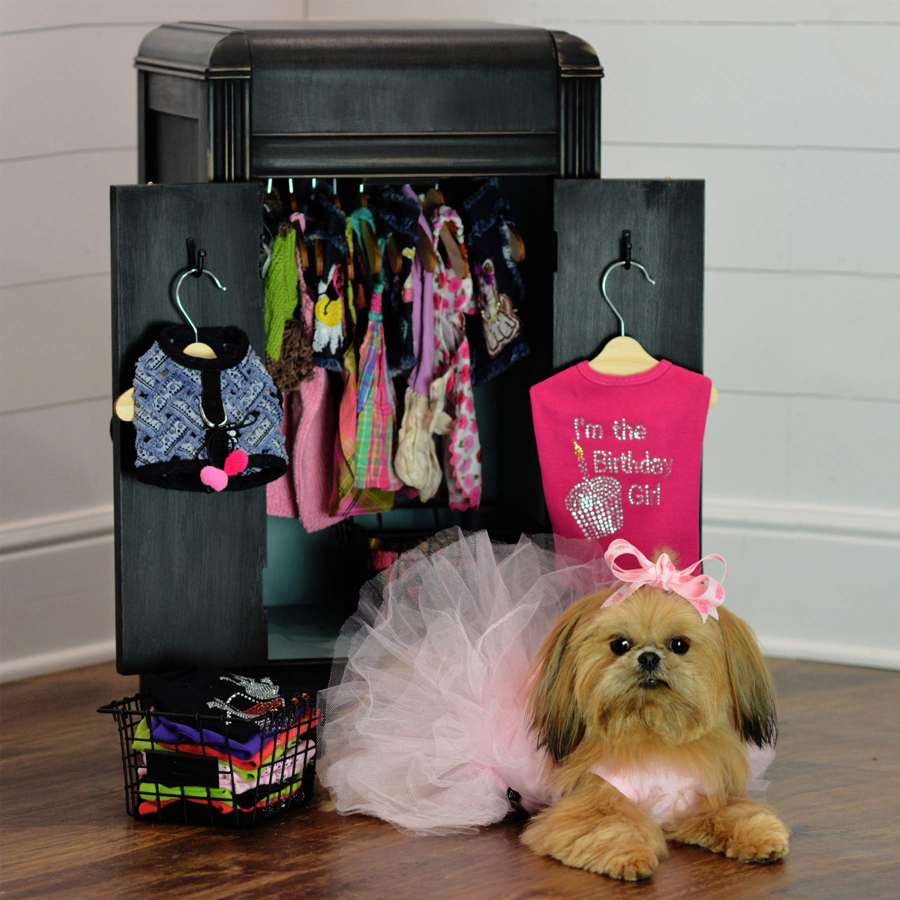 Wholesale designer dog clothes, t-shirts, harness vests & leather collars Dog in the Closet