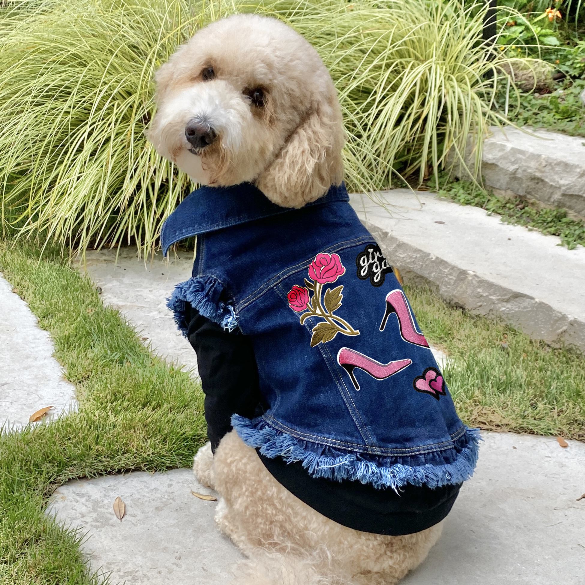 dog clothes for sale near me
