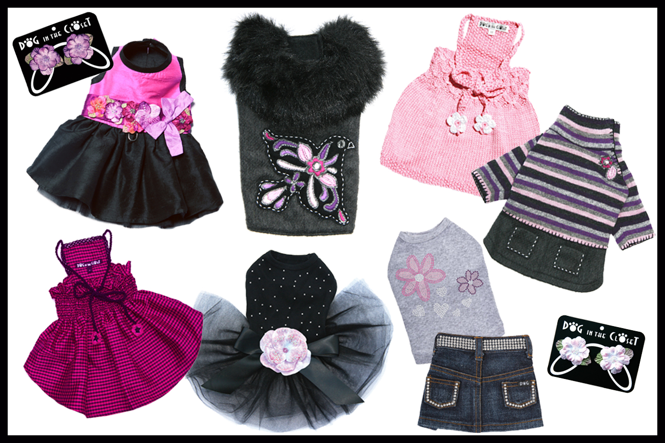 winter-collection-copy.jpg